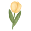 🌷 Эмодзи «green che» для Telegram