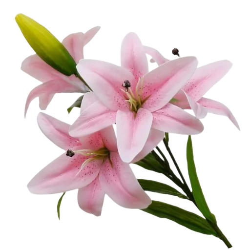 🌸 Стикер «Green Pink» для Telegram