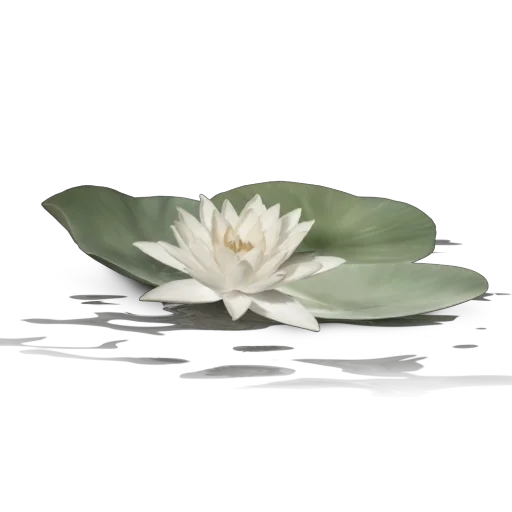 🪷 Стикер «Green Pink» для Telegram