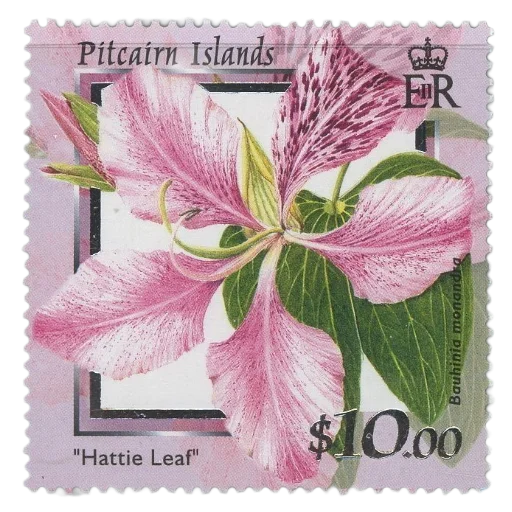🌸 Стикер «Green Pink» для Telegram
