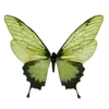 Стикер 12 green witch