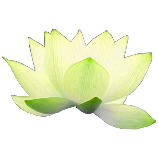 🌱 Стикер «Green Mixed» для Telegram