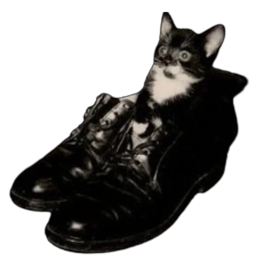 🐈‍⬛ Стикер «Green Mixed» для Telegram