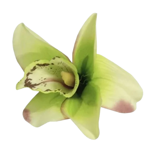 🌸 Стикер «Green Mixed» для Telegram