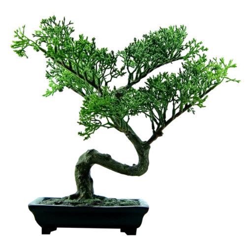 🌳 Стикер «Green Mixed» для Telegram