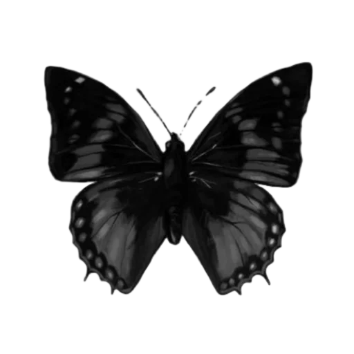 🦋 Стикер «Green Mixed» для Telegram