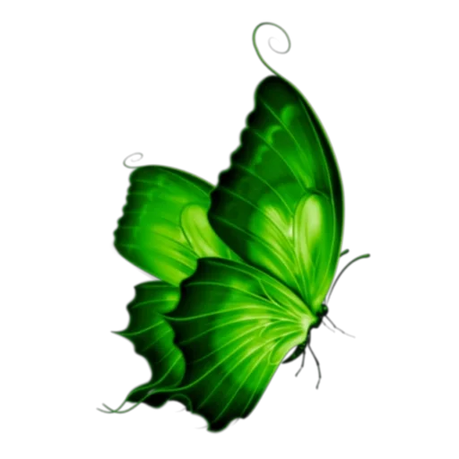 👍 Стикер «Green Mixed» для Telegram