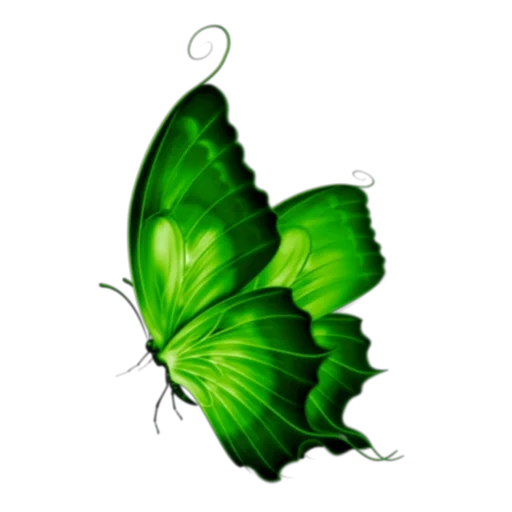 🦋 Стикер «Green Mixed» для Telegram