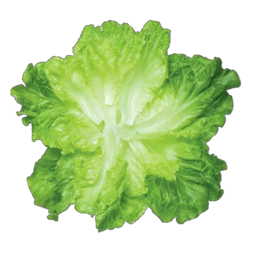 🥬 Стикер «Green Mixed» для Telegram