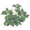 Стикер 27 green #color #green