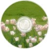 Стикер 12 green #color #green