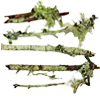 Стикер 41 green #color #green