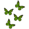 🦋 Эмодзи «green fei» для Telegram