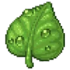 🍃 Эмодзи «green fei» для Telegram