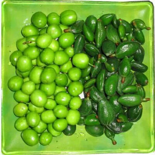 😜 Стикер «Green Time» для Telegram