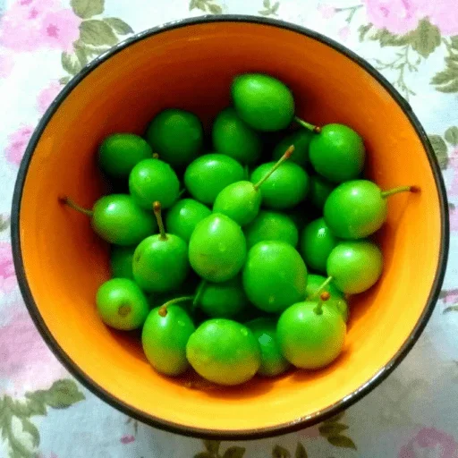 🥳 Стикер «Green Time» для Telegram