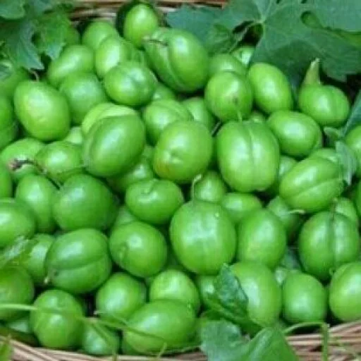 ☺️ Стикер «Green Time» для Telegram