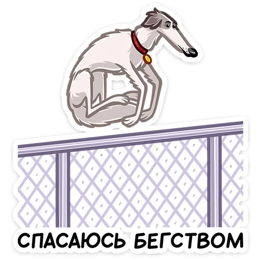 Стикер 40 Грэй