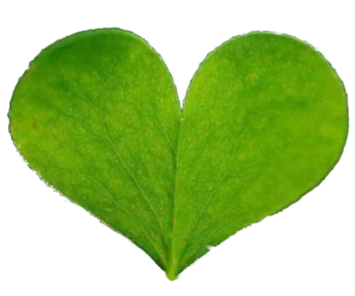 💚 Стикер «green_heart» для Telegram