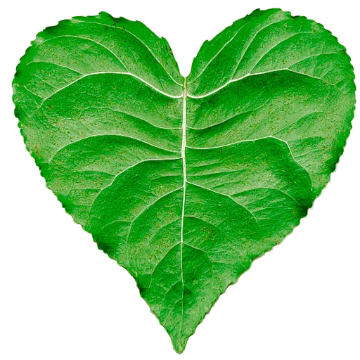 💚 Стикер «green_heart» для Telegram