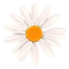 🪴 Эмодзи «Grossman Diaries» для Telegram