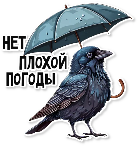 🌦 Стикер «Кижские граглз» для Telegram