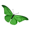 Стикер 2 Green Aesthetic