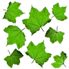 Стикер 12 Green Aesthetic