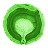 Стикер 5 Green Aesthetic