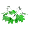 Стикер 10 Green Aesthetic