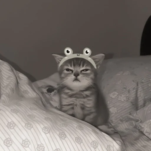 😾 Стикер «Punyaa arel» для Telegram
