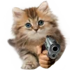 Стикер 6 🔫 Gun with you