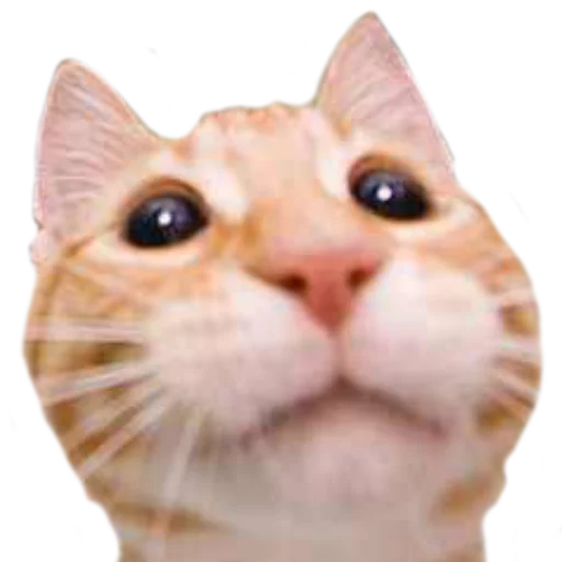 😐 Стикер «gusic» для Telegram