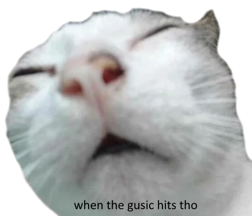 😵 Стикер «gusic» для Telegram
