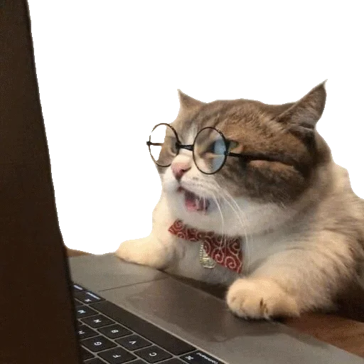 💻 Стикер «gusic» для Telegram