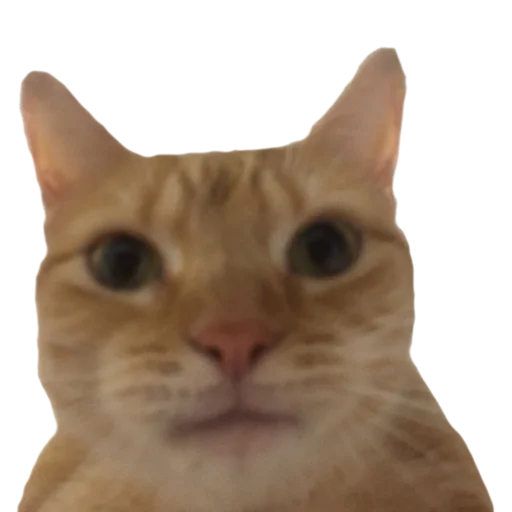 😐 Стикер «gusic» для Telegram