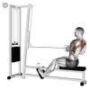 Стикер 55 GYM
