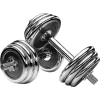 Стикер 37 GYM