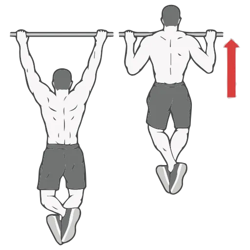 Стикер 29 GYM