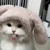 Стикер 35 Kittens #kittens