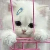 Стикер 41 Kittens #kittens