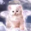 Стикер 4 Kittens #kittens