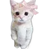 Стикер 37 Kittens #kittens