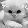 Стикер 30 Kittens #kittens
