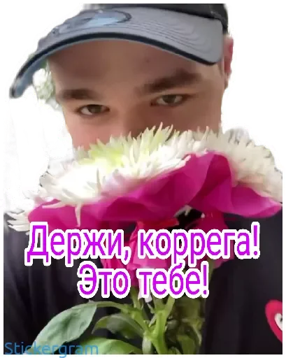 💐 Стикер «Хабибуллины» для Telegram