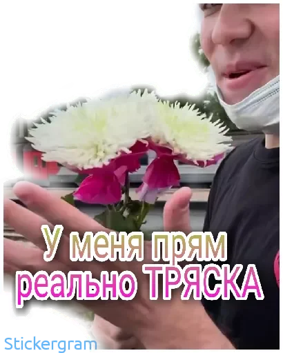💐 Стикер «Хабибуллины» для Telegram