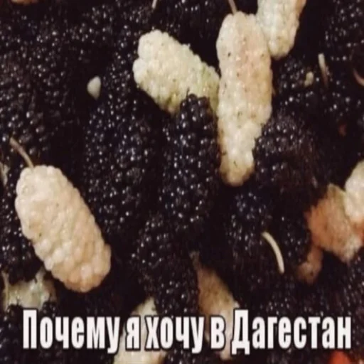 🤪 Стикер «АХАХАХАХА хуета» для Telegram