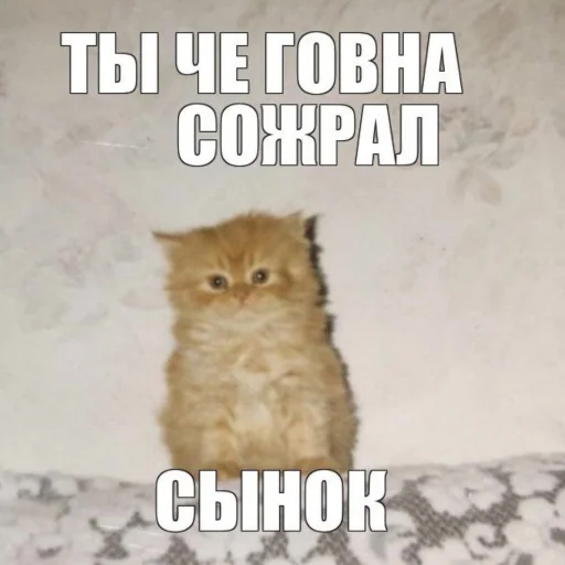 😚 Стикер «АХАХАХАХА хуета» для Telegram
