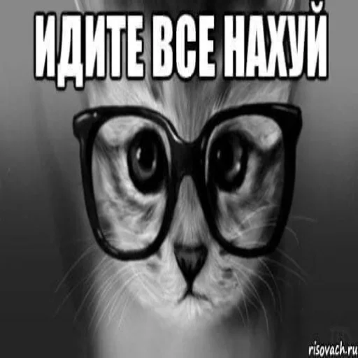 🥶 Стикер «АХАХАХАХА хуета» для Telegram