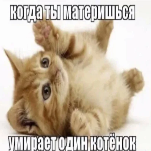 😋 Стикер «АХАХАХАХА хуета» для Telegram